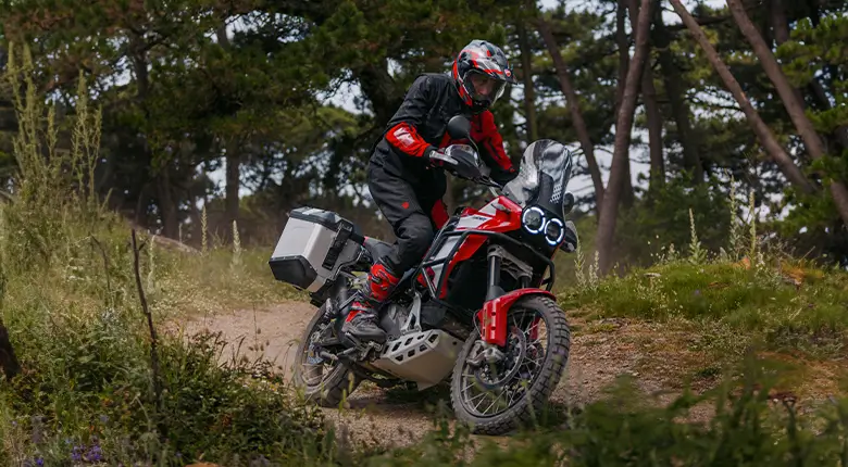 Ein Motorradfahrer fährt eine Ducati DesertX auf einem Waldweg.