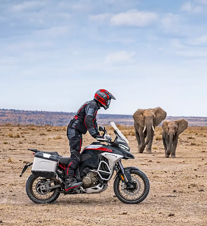 Ducati-Multistrada-V4-Rally-MY23-adventure-carousel-imgtxt-677x740 Ein Motorradfahrer auf einer Ducati Multistrada V4 Rally steht in einer Savanne, während zwei Elefanten im Hintergrund zu sehen sind.