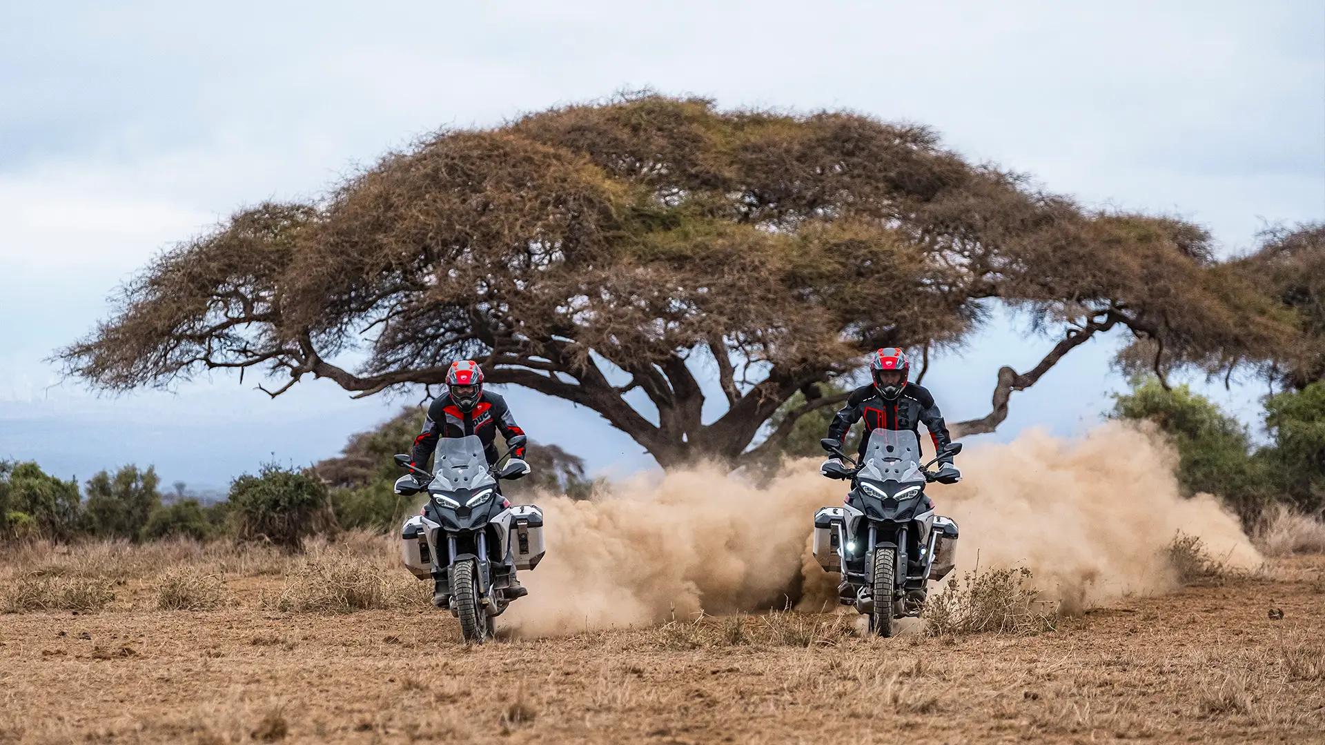 Zwei Fahrer auf Ducati Multistrada V4 Rally Motorrädern fahren durch eine staubige Landschaft.