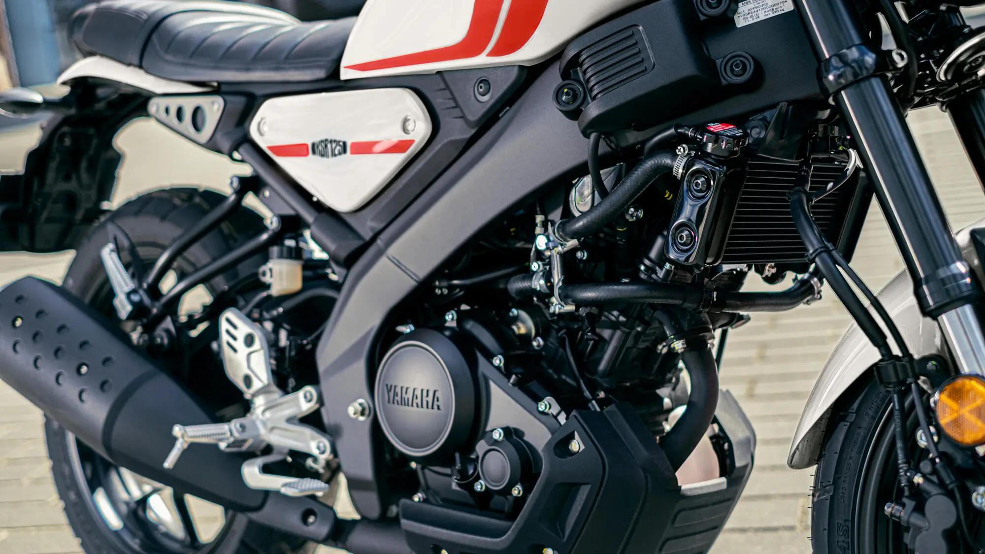 Ein Detailbild einer Yamaha XS125 aus dem Jahr 2024, das den Motor und Teile des Rahmens zeigt.