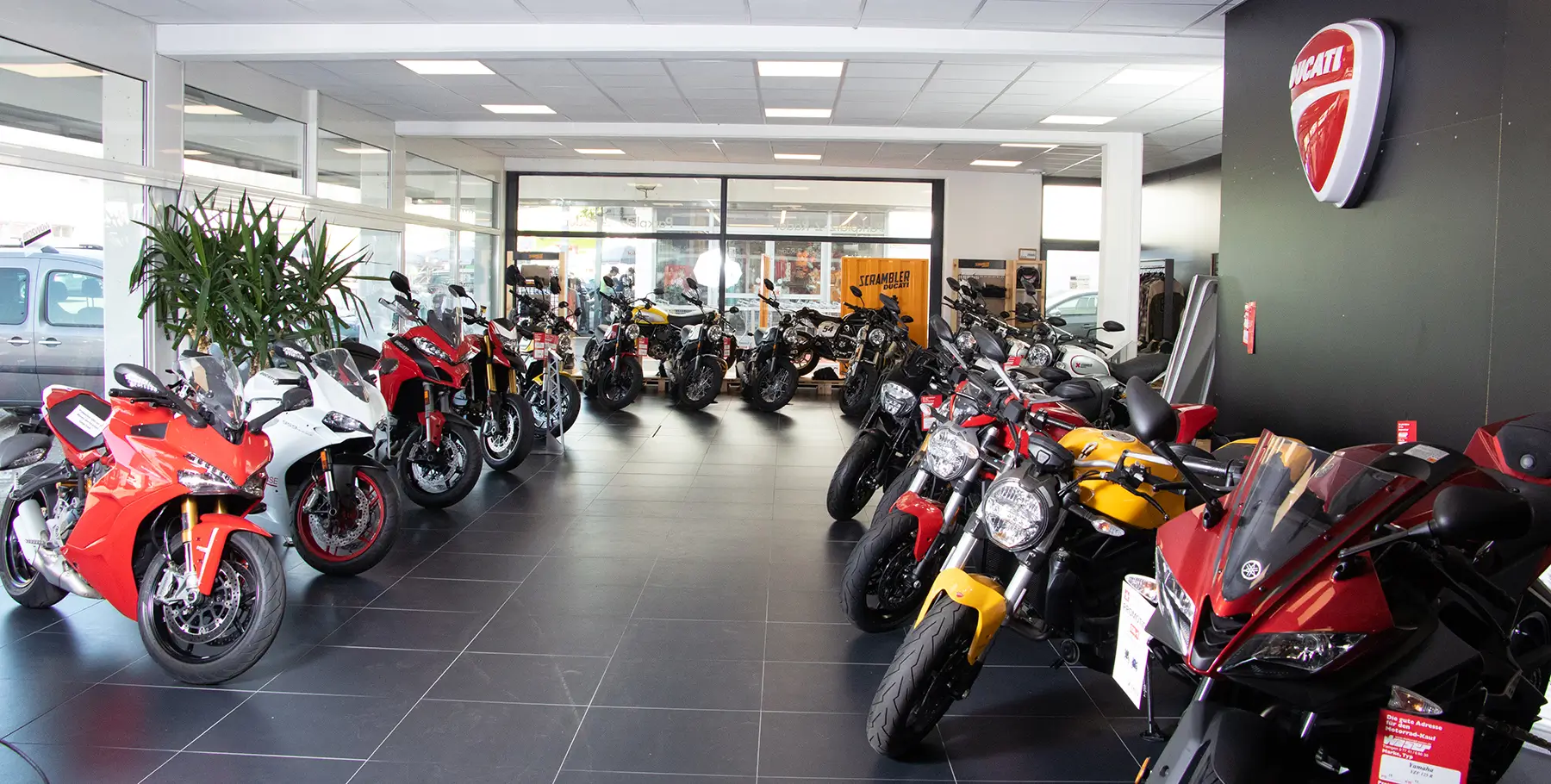 Ein Motorradgeschäft mit mehreren ausgestellten Ducati-Motorrädern.