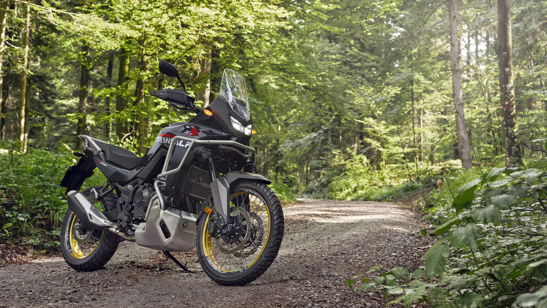 Ein schwarzes Honda Transalp Motorrad steht auf einem Waldweg.