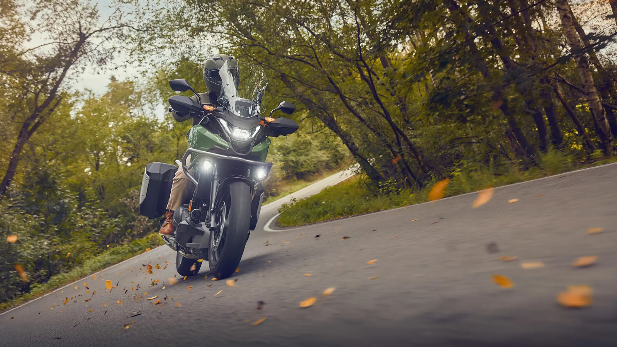 Ein Motorradfahrer auf einer kurvigen Waldstraße.